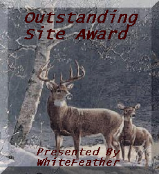 Outstanding Site Award