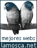 Mejores Webs